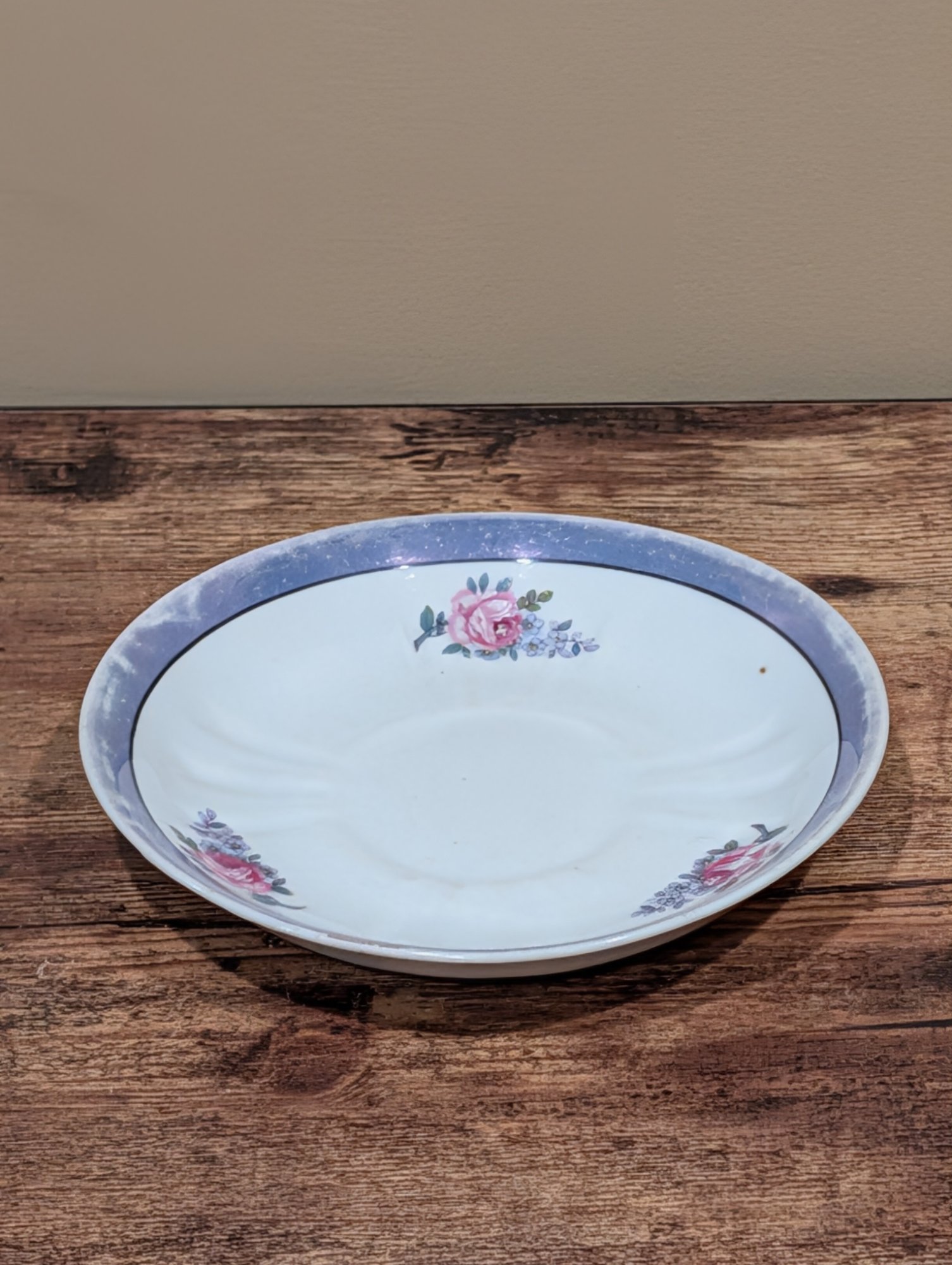 Vintage Porcelain Plates Pink Rose Floral Blue Band, Set of 2
